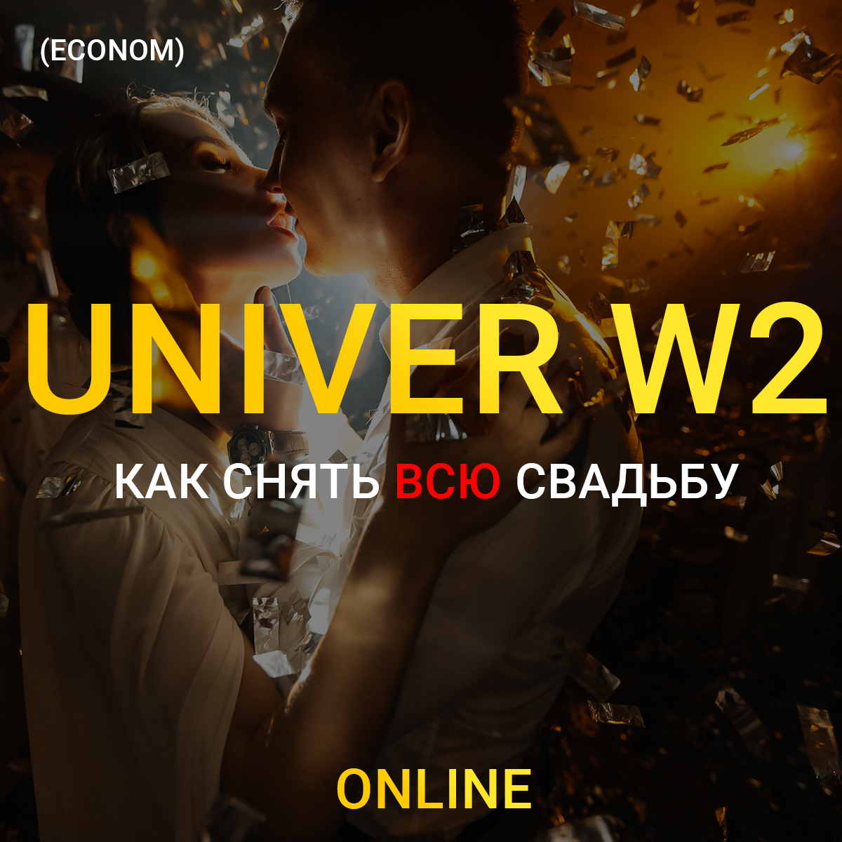 UNIVER W2 (econom) - купить на Robomarket